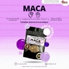 MACA - comprar en línea