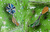 Pin - Vassoura - Wicked - comprar online