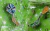 Pin - Varinha - Wicked - comprar online