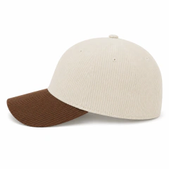 Gorra Corderoy Visera Curva 6 Paneles Abrojo Velcro - comprar online
