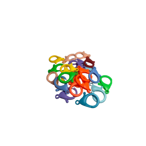 Fecho Lagosta - 35mm