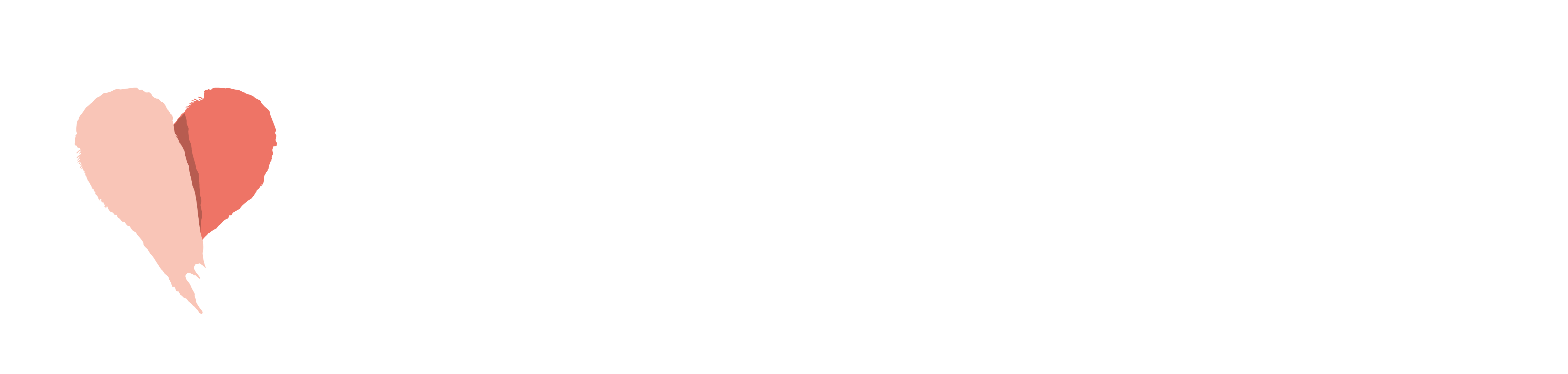 AmoKarité