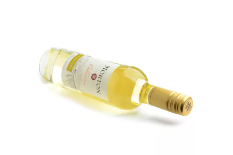Vinho Norton Colección Torrontes