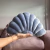 Shelly Pillow on internet