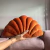 Image of Shelly Pillow