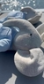 Elefante Dumbo - comprar online