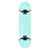 Skate Wood Light Basic Blue
