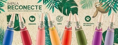 Banner da categoria Reconecte