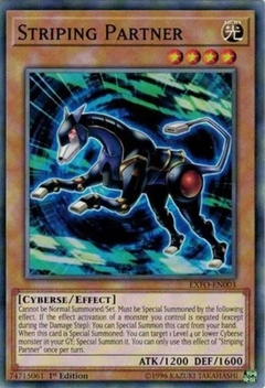 Striping Partner - EXFO - Common