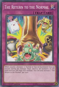The Return to the Normal - RIRA - Common