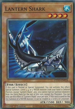 Lantern Shark - ETCO - Common