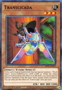 Transcicada - MP21 - Common