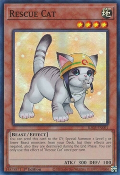 Rescue Cat (Alternate Art) - RA02 - Super Rare