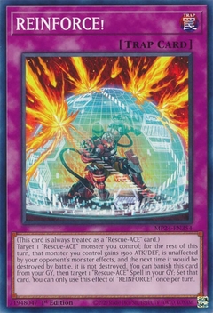 REINFORCE! - MP24 - Common