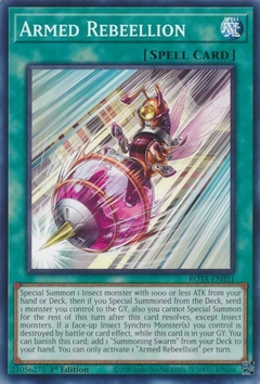 Armed Rebeellion - ROTA - Common