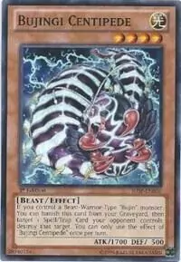 Bujingi Centipede - SHSP - Common