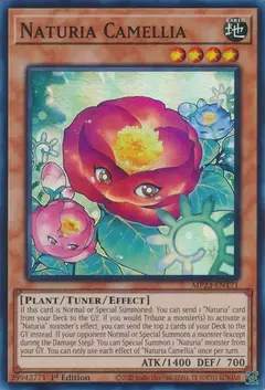 Naturia Camellia - MP23 - Super Rare