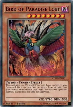 Bird of Paradise Lost - CORE - Common