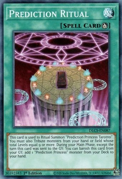 Prediction Ritual - DLCS - Common