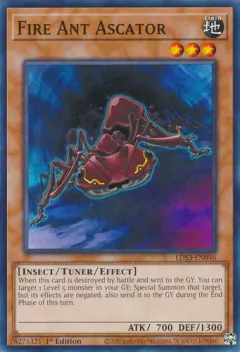 Fire Ant Ascator - LDS3 - Common