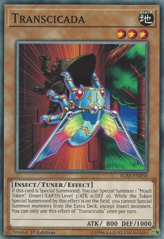 Transcicada - IGAS - Common