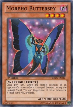 Morpho Butterspy - GAOV - Common