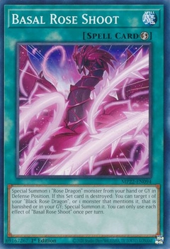 Basal Rose Shoot - MP22 - Common