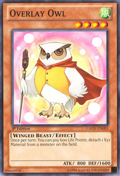 Overlay Owl - GAOV - Common