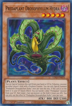 Predaplant Drosophyllum Hydra - LDS3 - Common