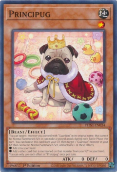 Principug - PHNI - Common