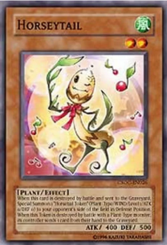 Horseytail - CSOC - Common