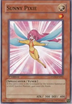 Sunny Pixie - ANPR - Common