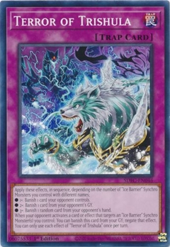 Terror of Trishula - SDFC - Common