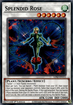 Splendid Rose - LDS2 - Common