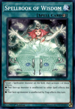 Spellbook of Wisdom - SR08 - Common