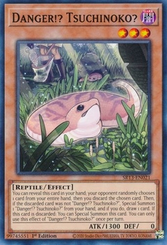 Danger!? Tsuchinoko? - SR13 - Common