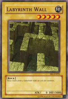 Labyrinth Wall - SRL - Common