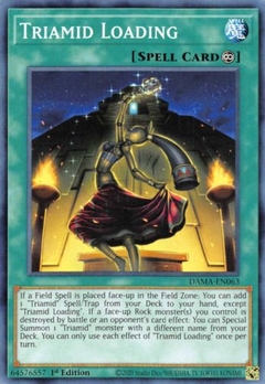 Triamid Loading - DAMA - Common