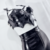 Conjunto Bat Details - Loja Queen of Bones