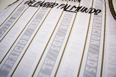 CONJUNTO DE FÚTBOL BLANCO - MDS merch