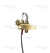 CONJUNTO PILOTO TARGET GE AP160 RHEEM en internet