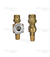 VALVULA DE SEGURIDAD P PANTALLA STANDARD PULSORA 1/8 H X 1/8 M - mirepuesto.com.ar