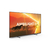 Smart Tv Philips 65 Pulgadas Google Miniled 4K Ambilight 65PML9118/77 - comprar online