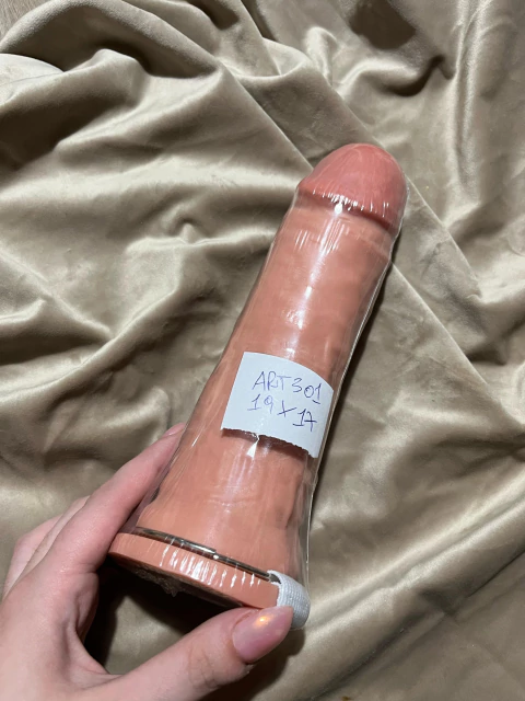 ARTICULO 301 19x17 cm - comprar online