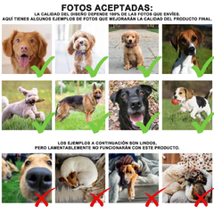 Playera Mascota Bootleg Personalizada con Nombre y Fotos