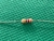 Resistor 4k7 1/2w 5% - comprar online