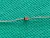 Diodo Zener Bzx79c11v Bzx79c11 11v 1/2w - comprar online