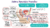 Mapas Mentais diferenciados de Biologia e Ciências - loja online