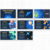 Combo de Slides diferenciados - 6 ao 9 Ano - loja online