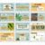 8 Ano - Slides Diferenciados - loja online